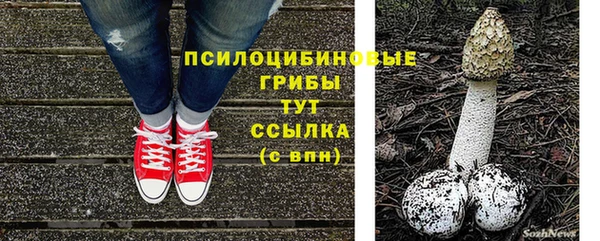 прущие грибы Остров